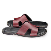 VC-SL 3071 - Brown / Black
