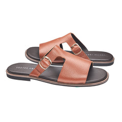 BARI 007 MS -
